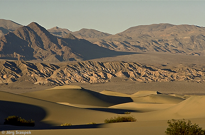 Dünenfeld im Death Valley