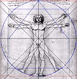 Leonardo da Vincis Proportionenstudie